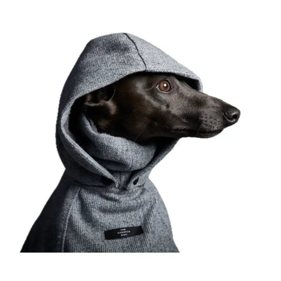 The Striped Dog - Downey - Cappottini