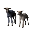 The Striped Dog - Palmdale Blu - Maglioncini