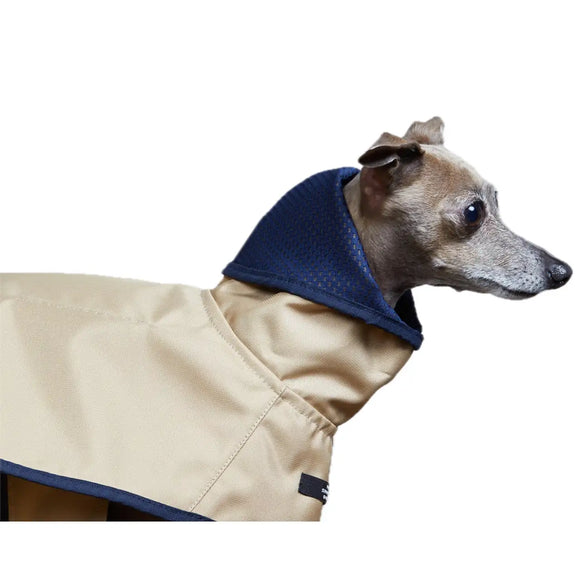 The Striped Dog - Paramount Sabbia - Impermeabili