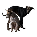 The Striped Dog - Rodeo - Maglioncini