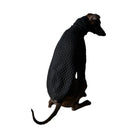 The Striped Dog - Rodeo - Maglioncini