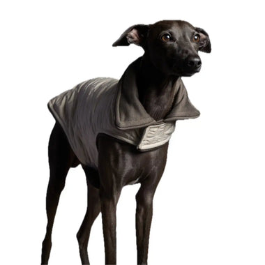 The Striped Dog - Sunset Crema - S - Cappottini