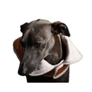 The Striped Dog - Sunset Terracotta - Cappottini
