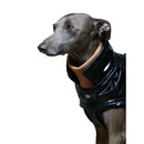 The Striped Dog - Venice Levriero - Impermeabili