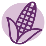 Maiskolben aus violettem Mais im Produkt Petreet Lettiera vegetale lavanda.