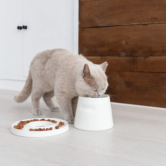 Hoopo Gamelle ergonomique Tower pour chats
