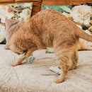 Ne&No - Jouet pour chats Set de 3 peluches à la valériane-15