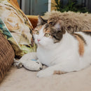 Ne&No - Jouet pour chats Set de 3 peluches à la valériane-16