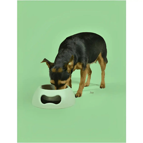 United Pets Ciotola Pappy Lilla - Ciotole