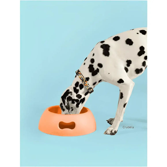 United Pets Ciotola Pappy Lilla - Ciotole