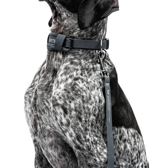 United Pets - Citylife - Collare eco con sottocollo imbottito