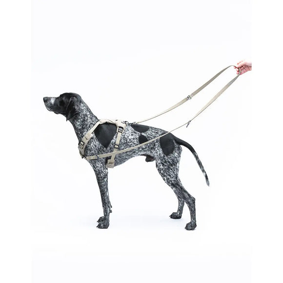 United Pets - Citylife - Guinzaglio da addestramento - Guinzagli