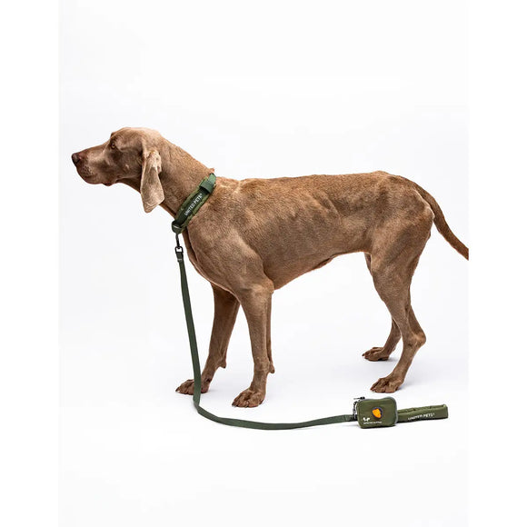 United Pets - Citylife - Guinzaglio Soft - Guinzagli