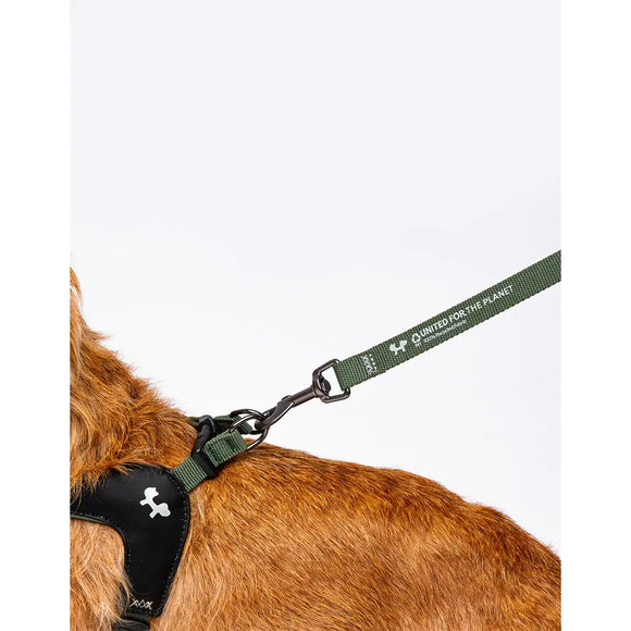 United Pets - Citylife - Guinzaglio Soft - Guinzagli