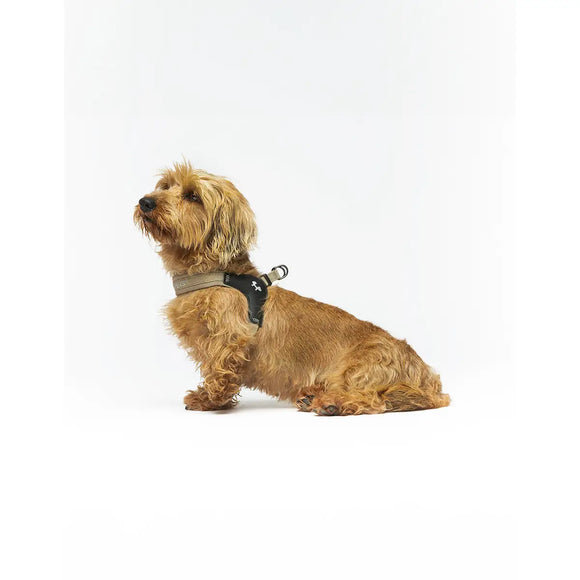 United Pets - Citylife - Pettorina aggancio rapido - Pettorine