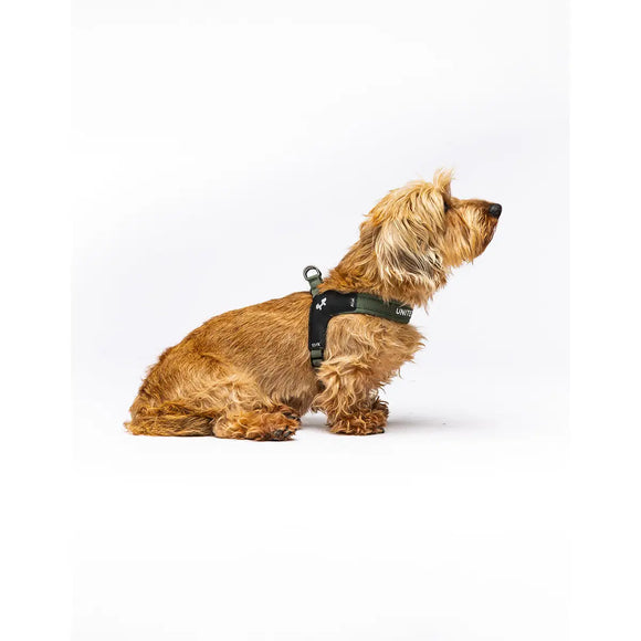 United Pets - Citylife - Pettorina aggancio rapido - Pettorine