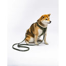 United Pets - Citylife - Pettorina soft - Pettorine