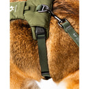 United Pets - Citylife - Pettorina soft - Pettorine