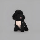 United Pets - Dolcevita Warmy Nero e Beige - 28 cm - Maglioncini