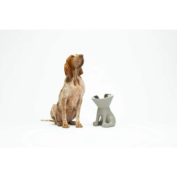 United Pets - Elizabeth - The Queen of Bowls - Ciotole