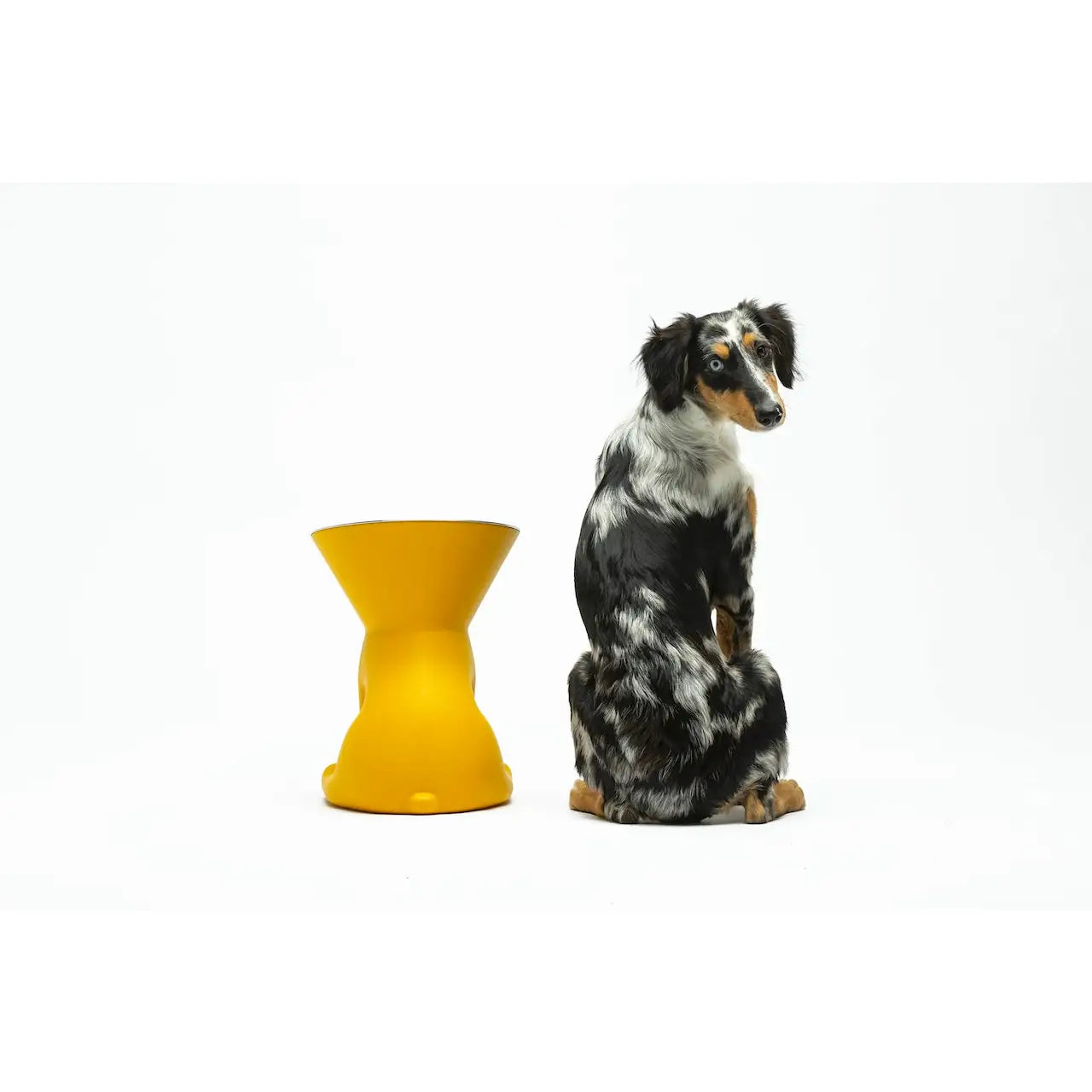 United Pets - Elizabeth - The Queen of Bowls - Ciotole