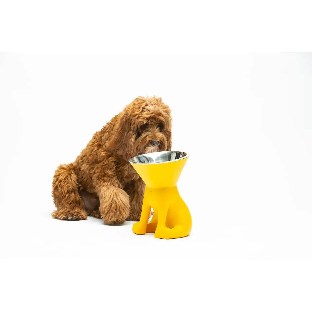 United Pets - Elizabeth - The Queen of Bowls - Ciotole