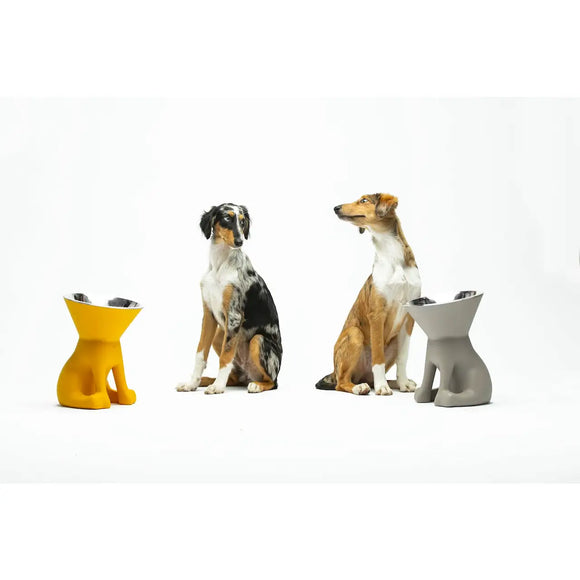 United Pets - Elizabeth - The Queen of Bowls - Ciotole