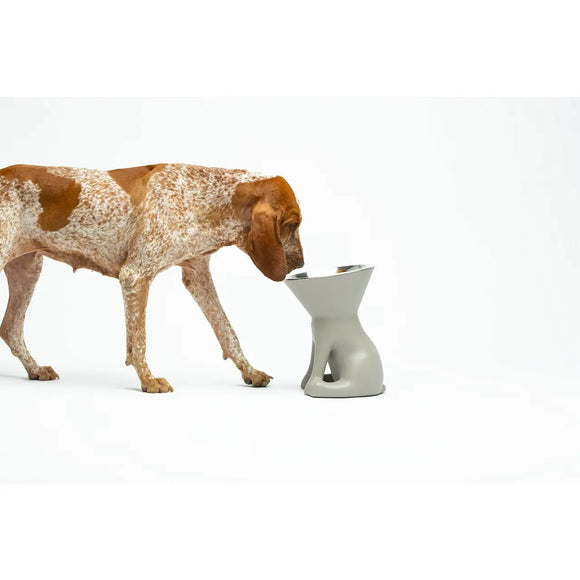 United Pets - Elizabeth - The Queen of Bowls - Ciotole