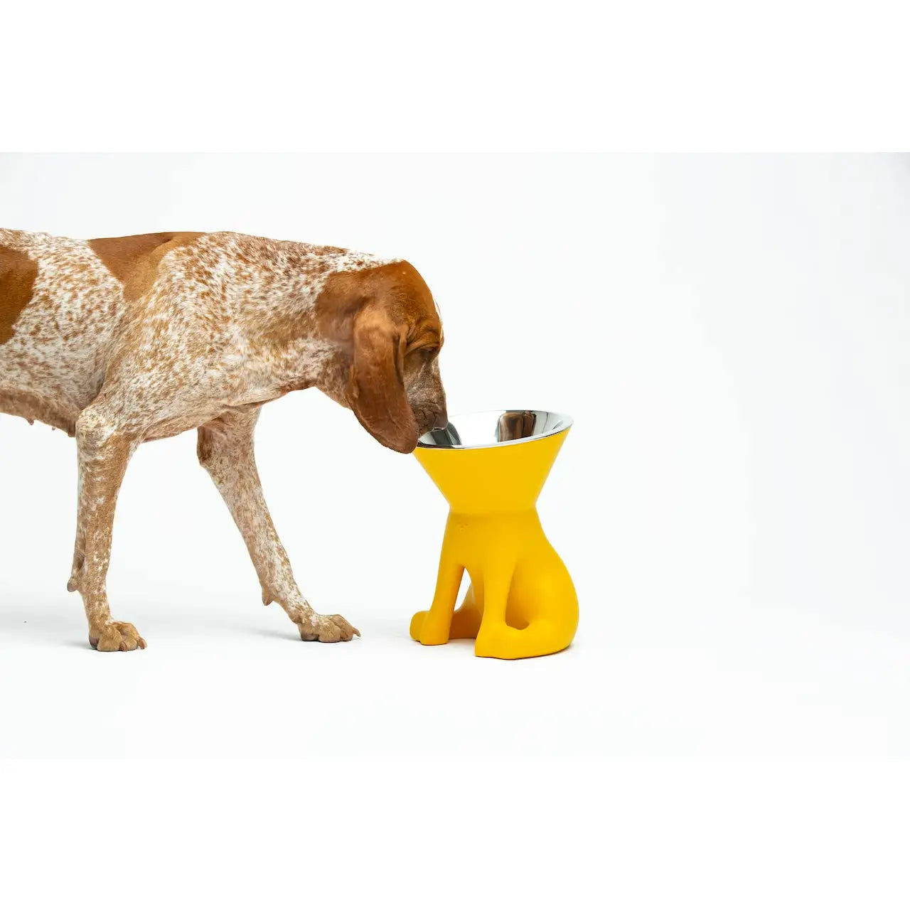 United Pets - Elizabeth - The Queen of Bowls - Ciotole