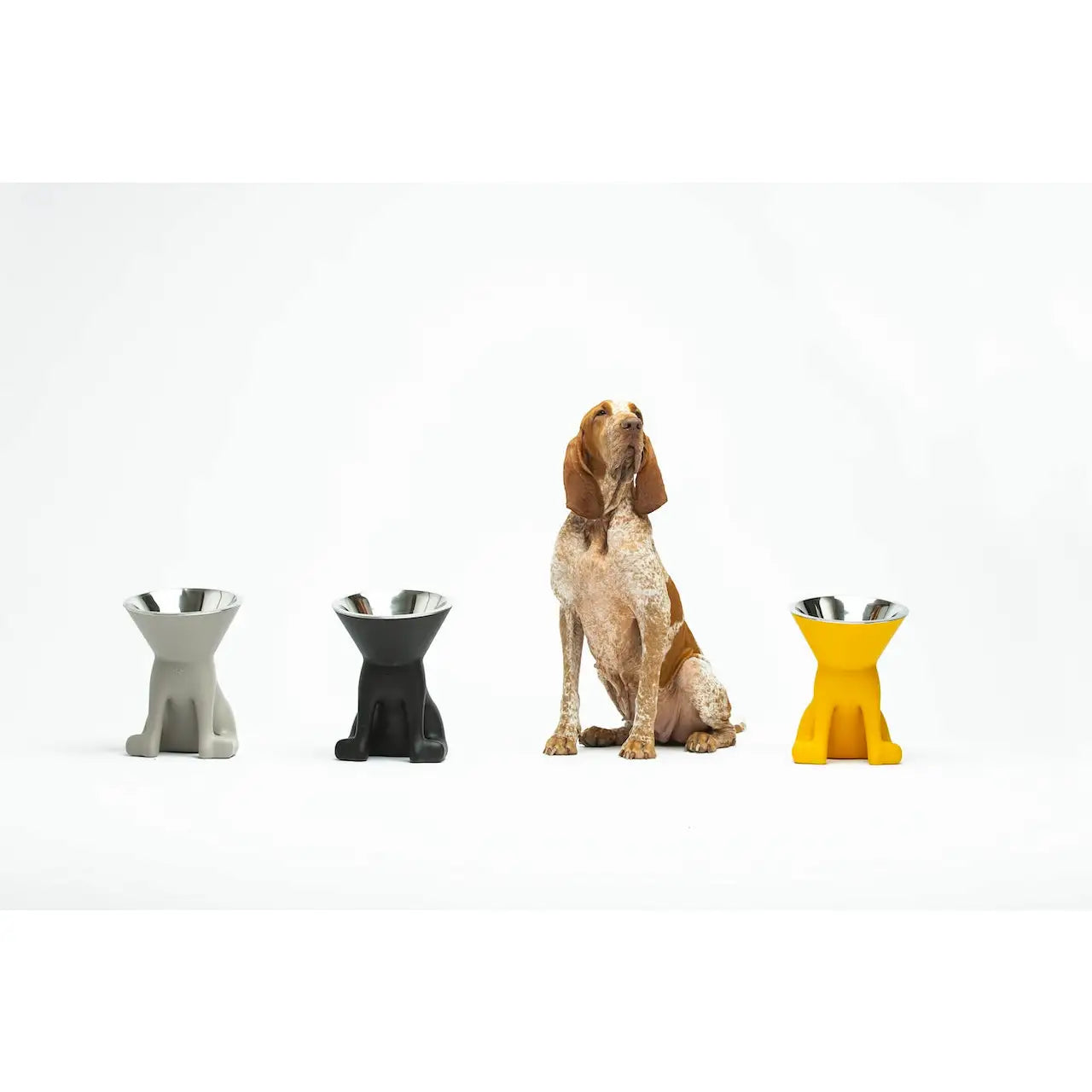United Pets - Elizabeth - The Queen of Bowls - Ciotole