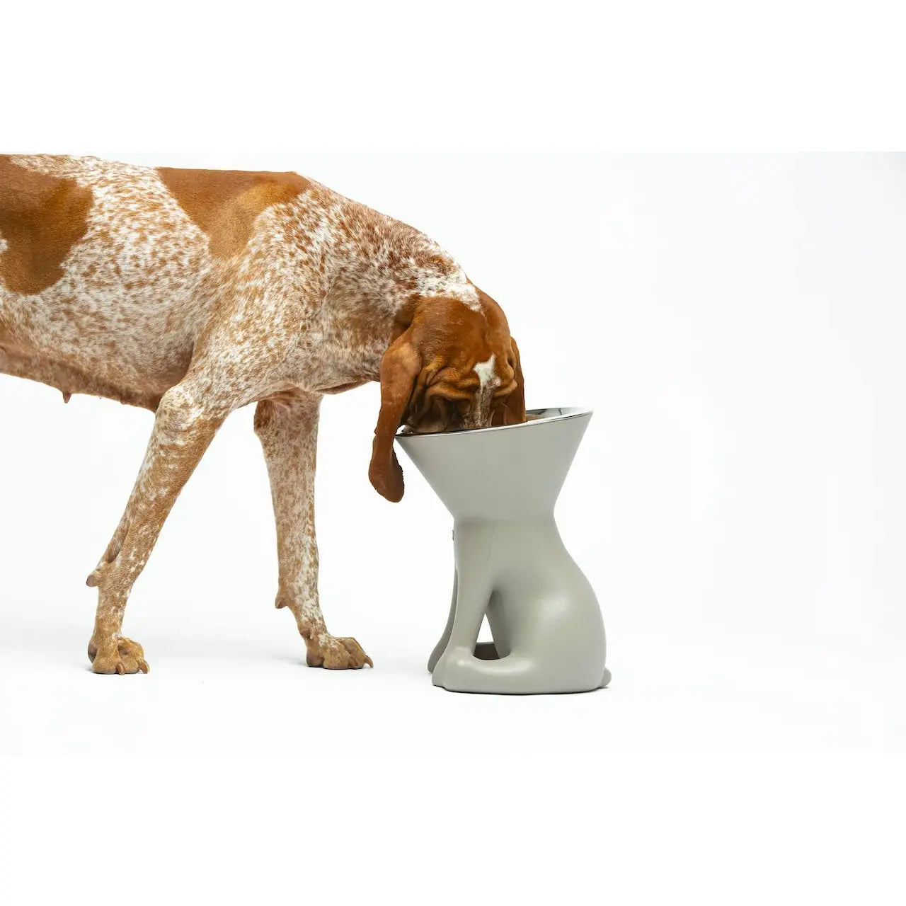 United Pets - Elizabeth - The Queen of Bowls - Ciotole