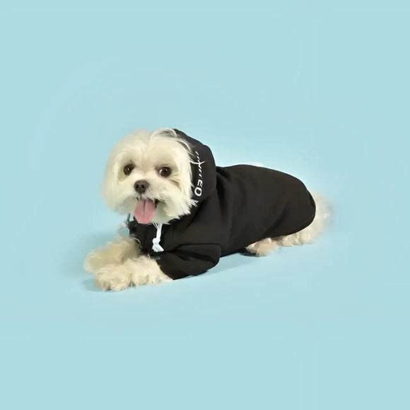 United Pets - Felpa Bull con cappuccio Nera e Azzurra - Maglioncini