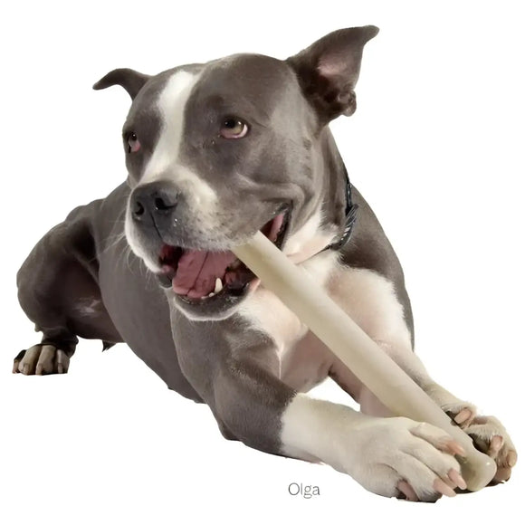 United Pets - MR. BRANCH - Gioco rametto in gomma per cani - Giochi