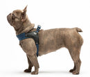 United Pets - Citylife - Pettorina aggancio rapido in Jeans-4