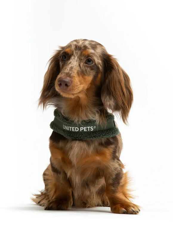United Pets - Citylife - Pettorina aggancio rapido Plush