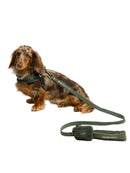 United Pets - Citylife - Pettorina aggancio rapido Plush-4