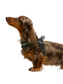 United Pets - Citylife - Pettorina aggancio rapido Plush-5