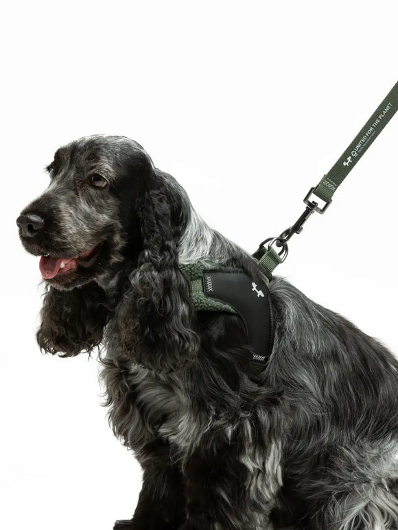 United Pets - Citylife - Pettorina aggancio rapido Plush