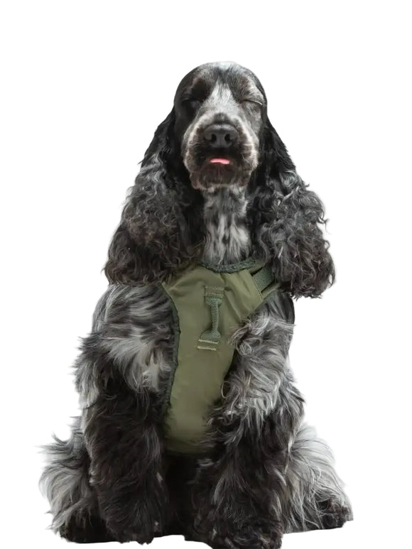 United Pets Citylife - Pettorina soft Plush