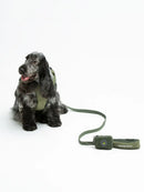 United Pets - CityLife Dispensador Plush-2