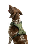 United Pets Citylife - Pettorina soft Plush-4