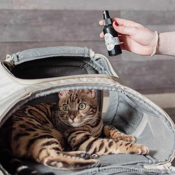 Ne&No® Baldrian-Spray für Katzen - 2er-Set - Geschenkbox