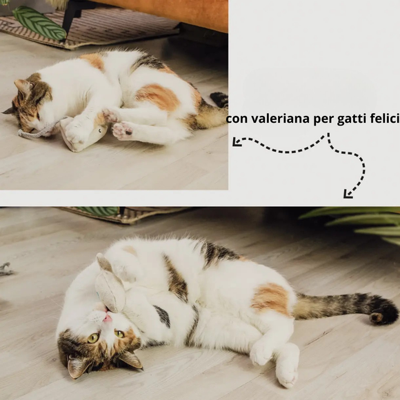 Ne&No - Jouet pour chats Set de 3 peluches à la valériane