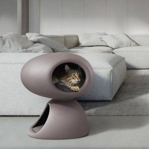Pet Boutique - Cuccia Queboo con tiragraffi