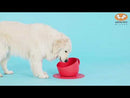 United Pets Set Tazza CUP 2500ml + Tappetino sottociotola-11